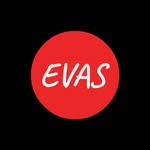 Excelsior Virtual Assistant Solutions