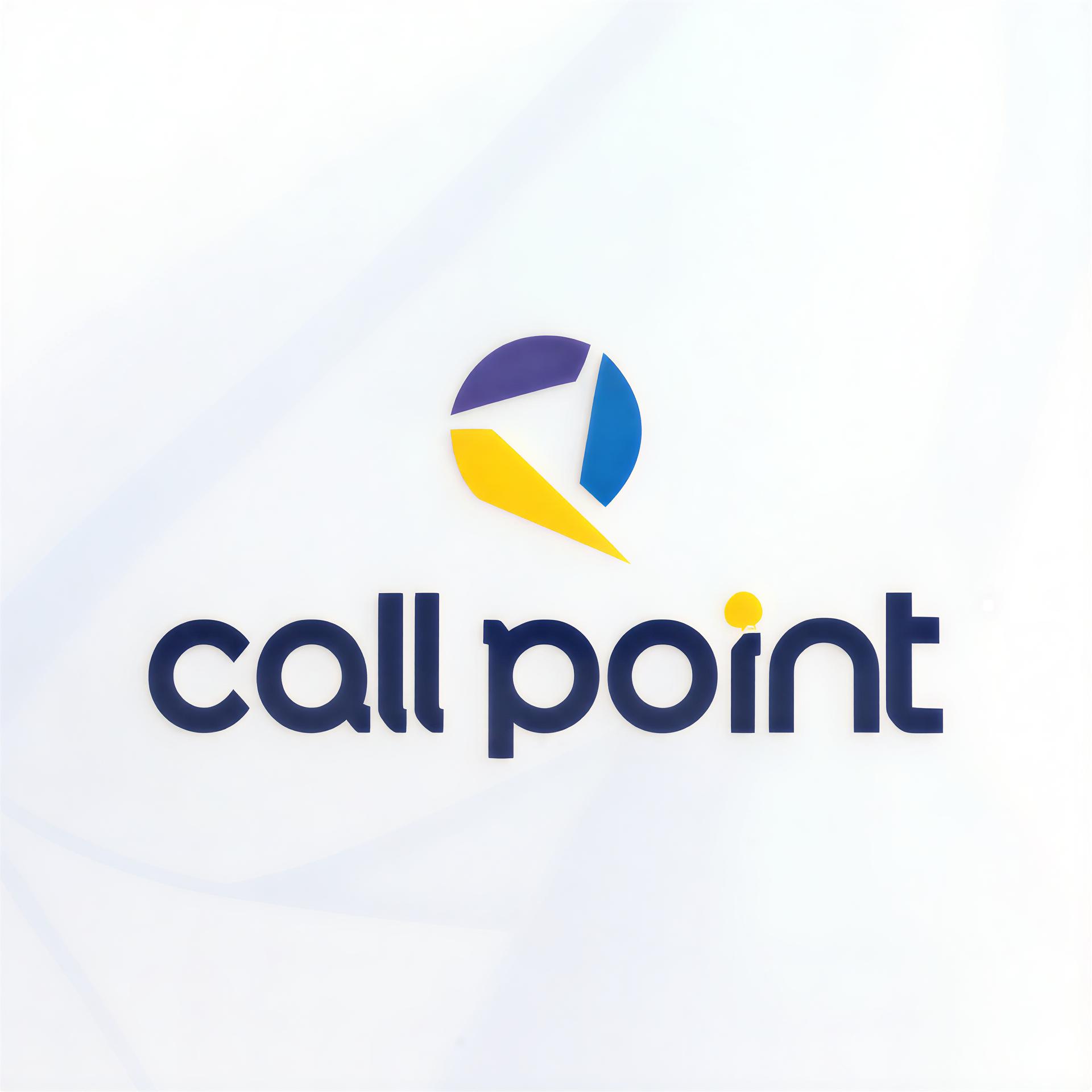 Call Point Business Solutions